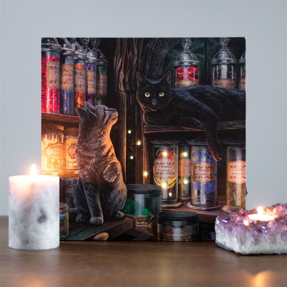 MAGICAL EMPORIUM LIGHT UP CANVAS PRINT BY LISA PARKER (Free Shipping)