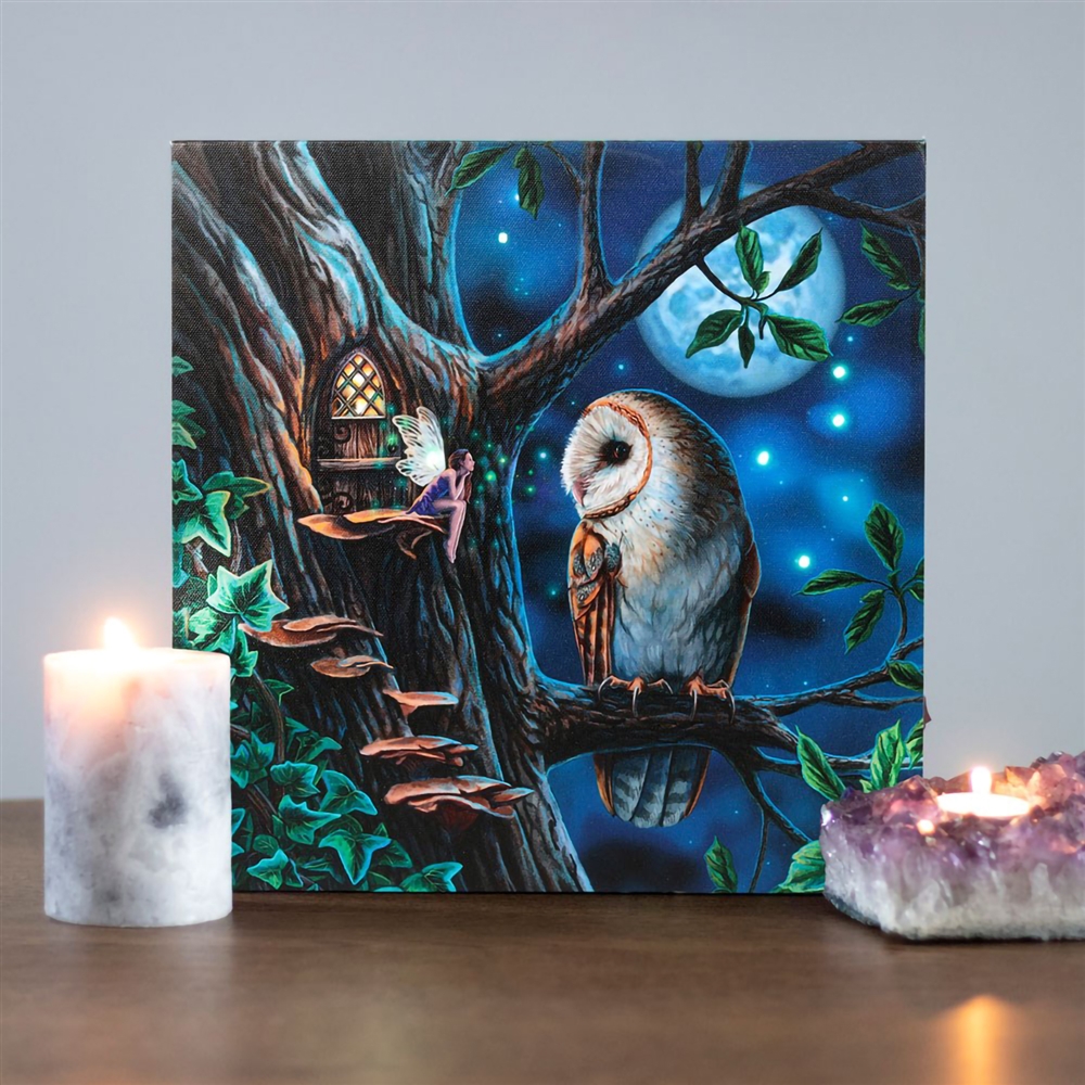 FAIRY TALES LIGHT UP CANVAS PRINT BY LISA PARKER (Free Shipping)