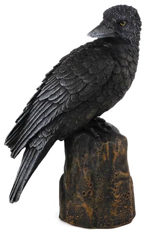 Raven back statue