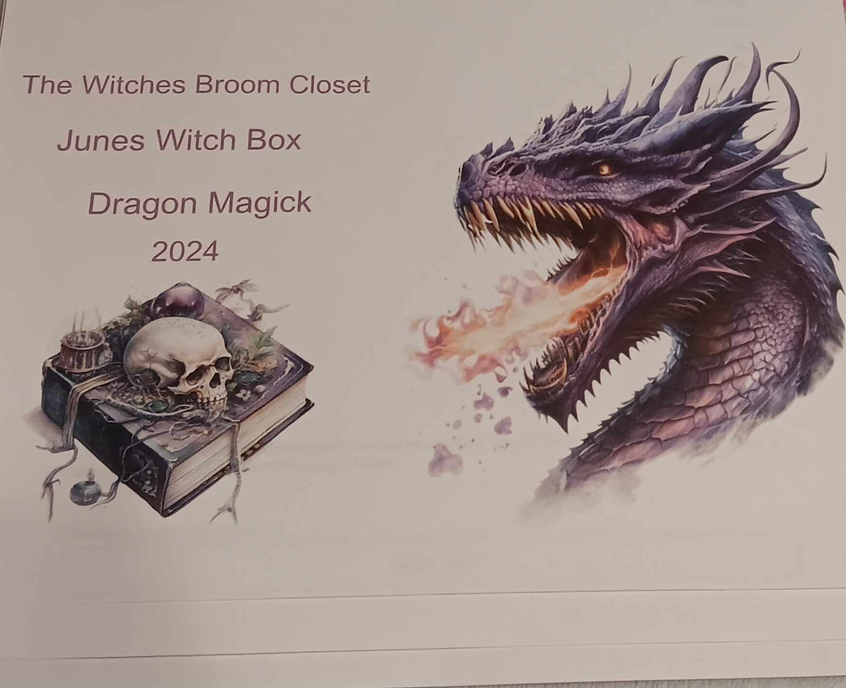 The Witches Broom Closet Witch Box *PRE-ORDER* (June 2024) Dragon Magick Witch Box